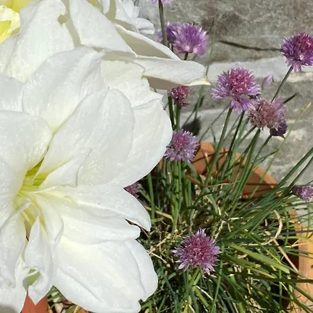 With An Experience!!! Kantun