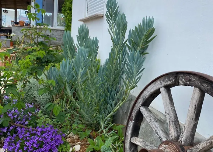 With An Experience!!! Kantun Unlimited Free Coffee Throughout Your !!! 旅馆