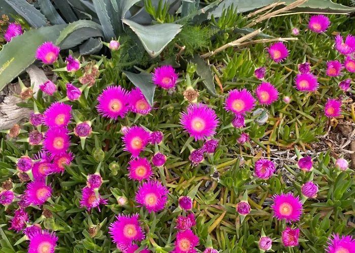 With An Experience!!! Kantun Unlimited Free Coffee Throughout Your !!! 普纳特