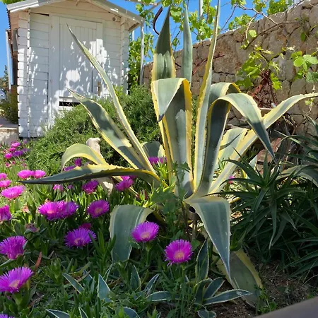 Hostel With An Experience!!! Kantun