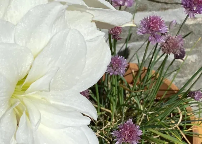 With An Experience!!! Kantun Unlimited Free Coffee Throughout Your !!!