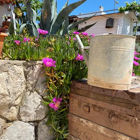 With An Experience!!! Kantun