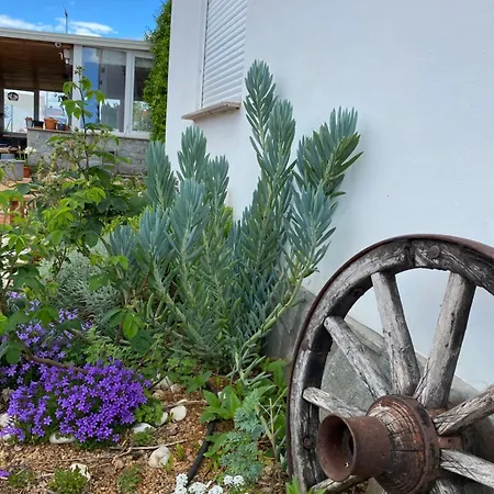 With An Experience!!! Kantun Ostello