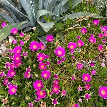 With An Experience!!! Kantun Punat