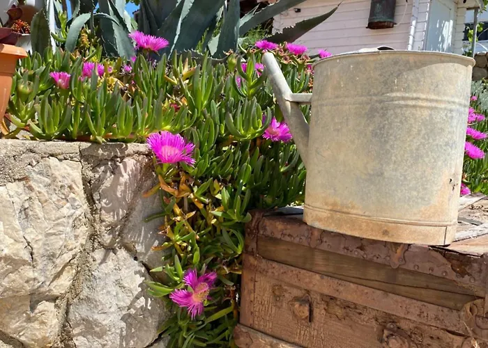 With An Experience!!! Kantun Unlimited Free Coffee Throughout Your !!!