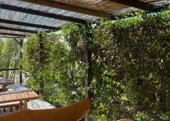 With An Experience!!! Kantun Unlimited Free Coffee Throughout Your !!! *