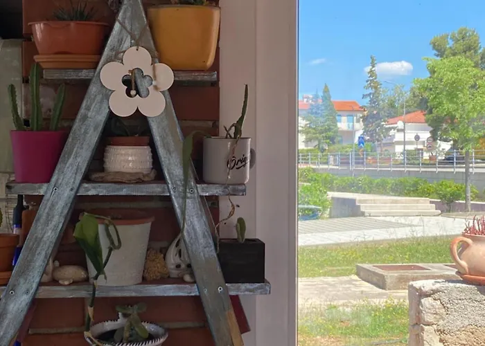 With An Experience!!! Kantun Unlimited Free Coffee Throughout Your !!! *